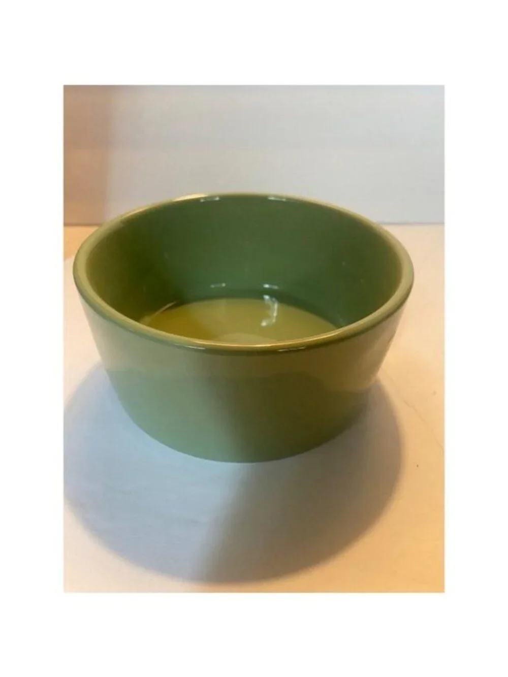 Rae Dunn Turkey Tester Etched Text Thanksgiving Ceramic Pet Bowl Serving Dish